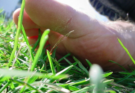 homegiant pornstar nudes picture