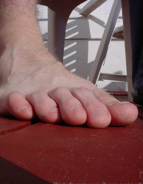 homegiant star photos