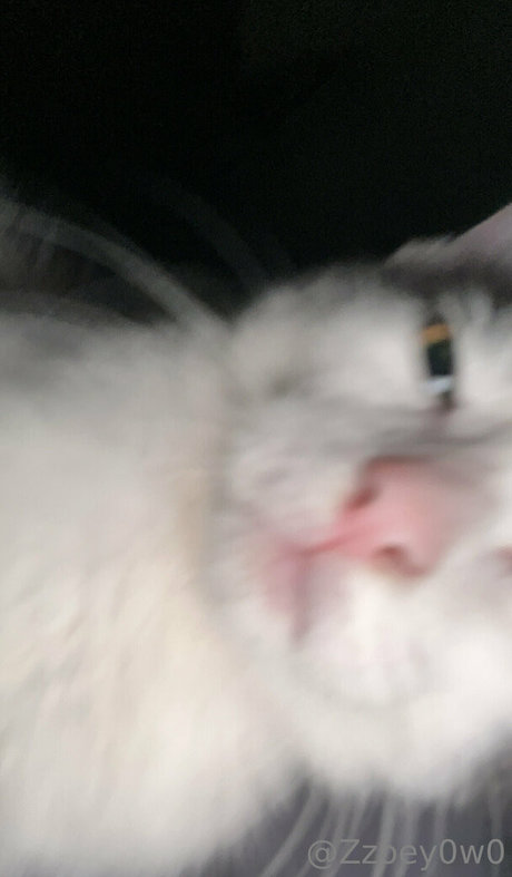 cyb3rb0t beautiful actress pictures