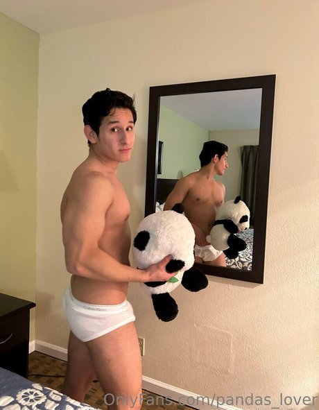 pandas lover perfect star img