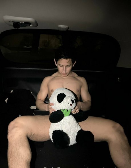 pandas lover exclusive model picture