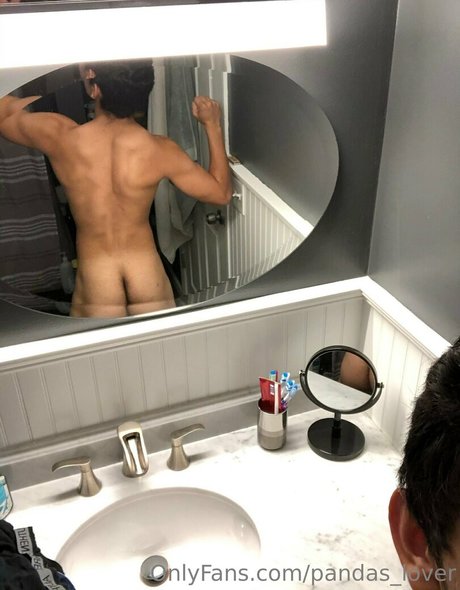 pandas lover art model archive