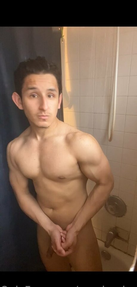 pandas lover perfect star pics