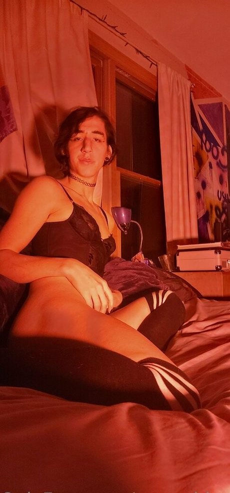 urcorvidae free model photos