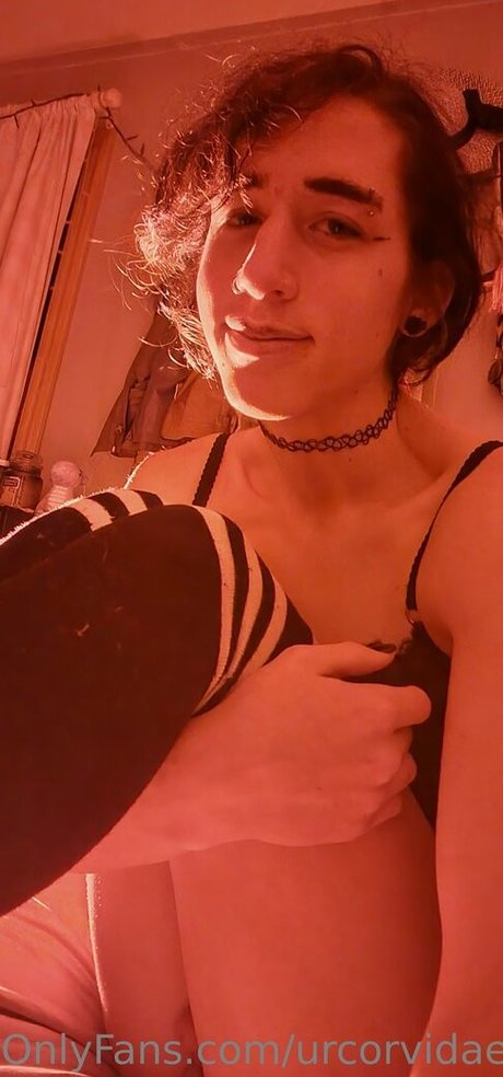 urcorvidae pornstar gallery