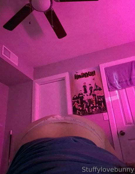 StuffyLoveBunny model sexy photos