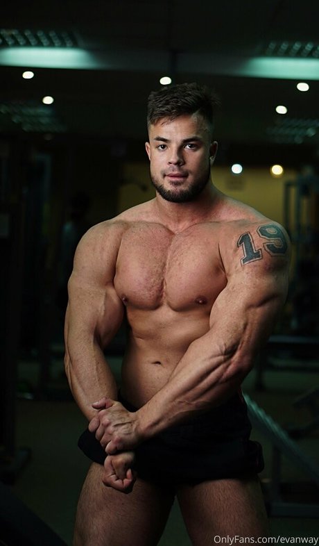 evanway model best img