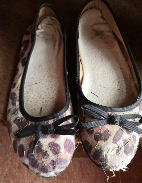 misssoletrader nice model pics