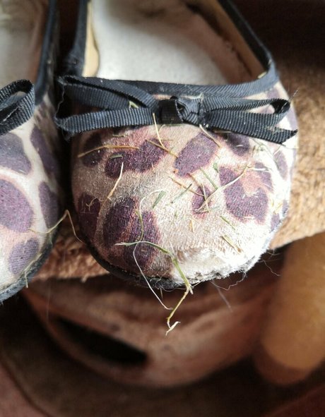 misssoletrader beautiful pornstar pictures