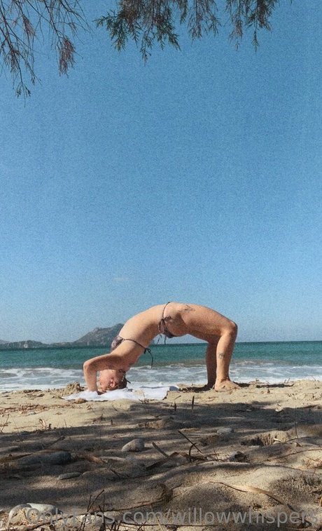 willowwhispers best model pictures