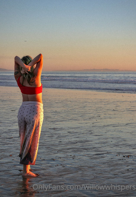 willowwhispers star art galleries