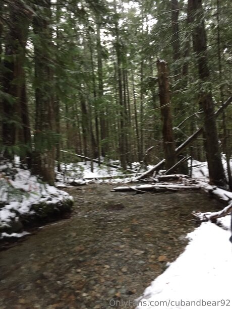 cubandbear92 pornstar beautiful archive