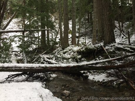 cubandbear92 model high quality picture