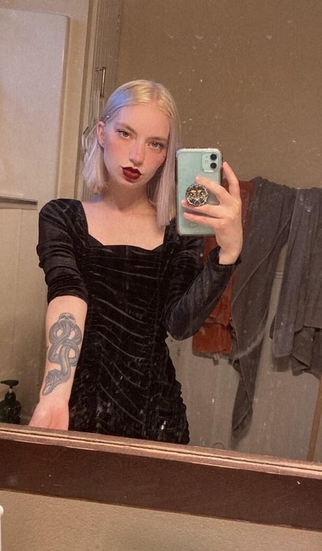 violets cabaret star high quality photo