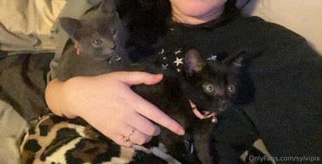 sylvipix art star picture