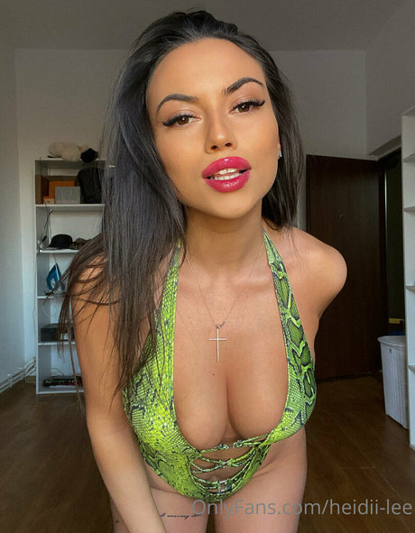 heidii lee pornstar naked pic