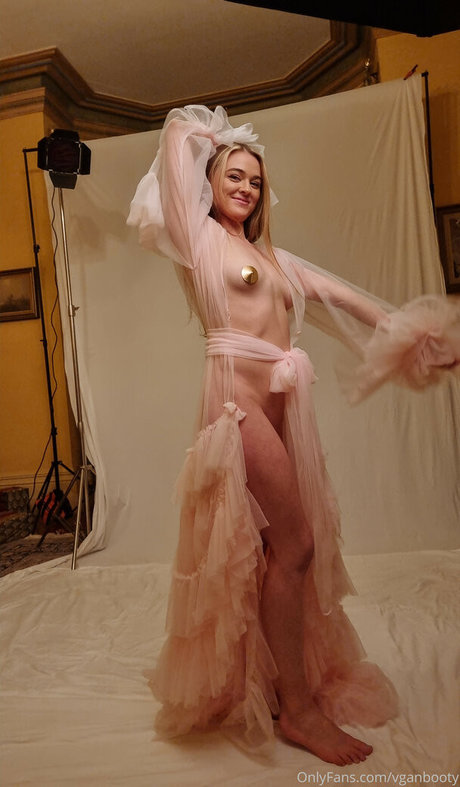 vganbooty art star img