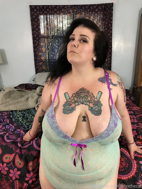 Felyx the Cat adult star galleries