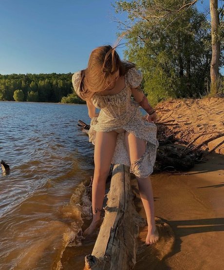 meow fit art star archive