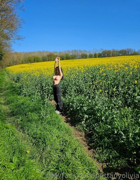 brittanyolivia top pornstar img