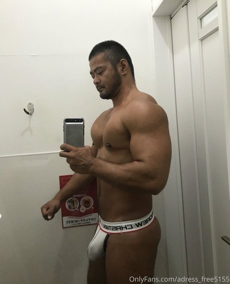 adress free5155 model art archive