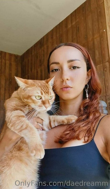 daedreamm star high quality photos