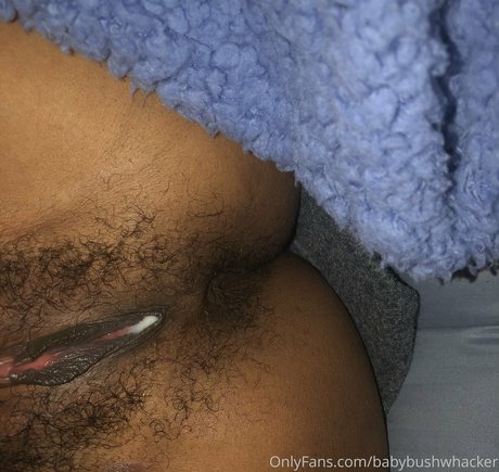 Baby Bush Whacker naked pornstar images