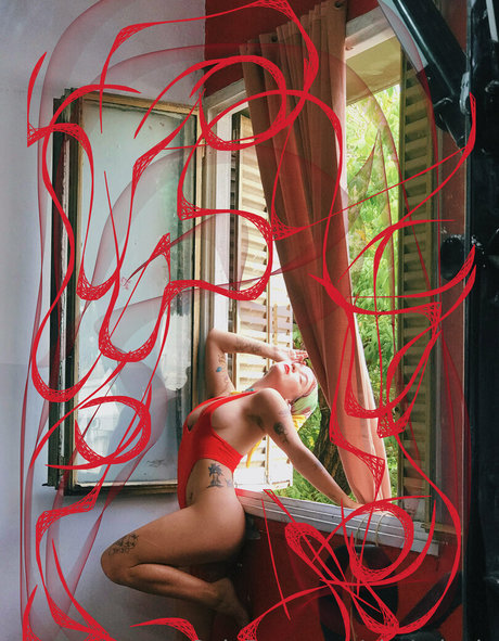 alegrologia erotic star archive