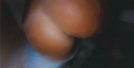 natttyb model best image