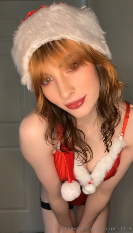 tara rose0213 nice pornstar archive