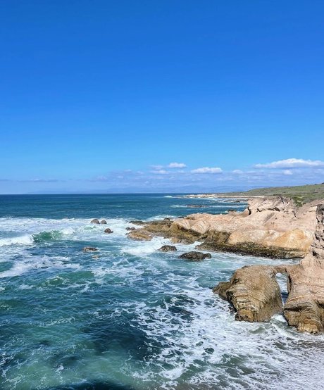 Veronicaa Zanotti pretty actress images