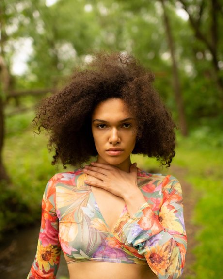 Bebetendre beautiful star pictures