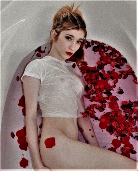 Rebeca Stones nice star galleries