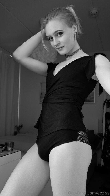 eeziss model nice galleries