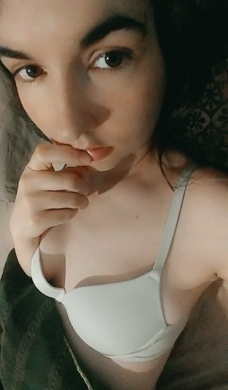 playfulforyou nice star archive