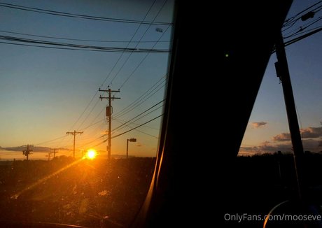 mooseve star naked gallery