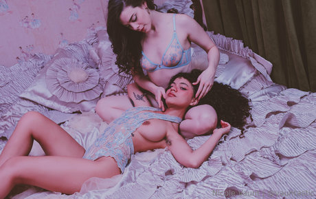 vauntastic exclusive star gallery