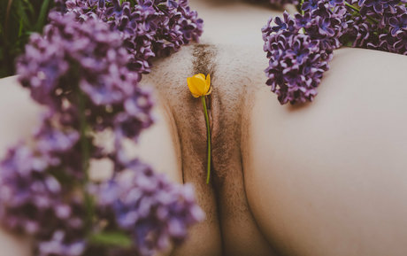 vauntastic free actress img