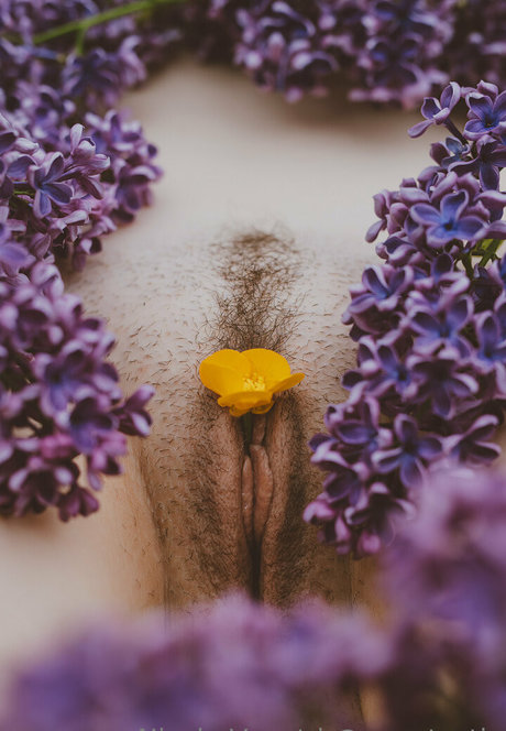 vauntastic hot star img