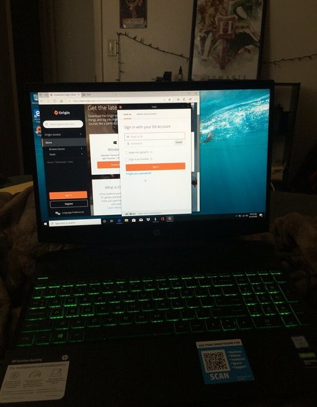 gamerwillow pornstar adult picture