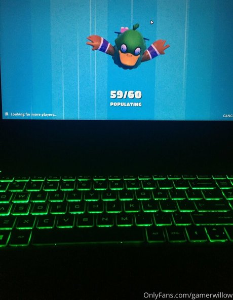 gamerwillow nice model image