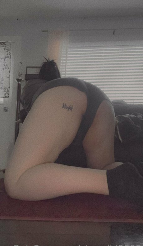 staywild2595 pornographic star images