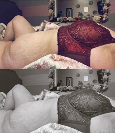 staywild2595 hd pornstar picture