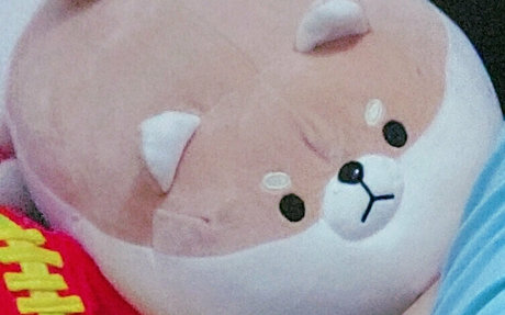 fijisaki star top star pictures