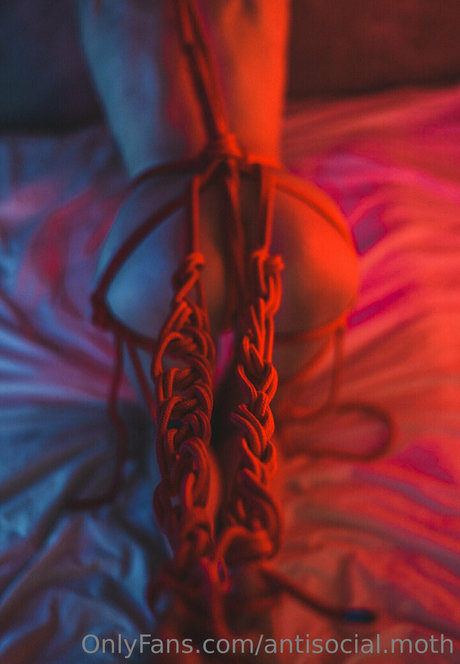 antisocial moth model hd gallery