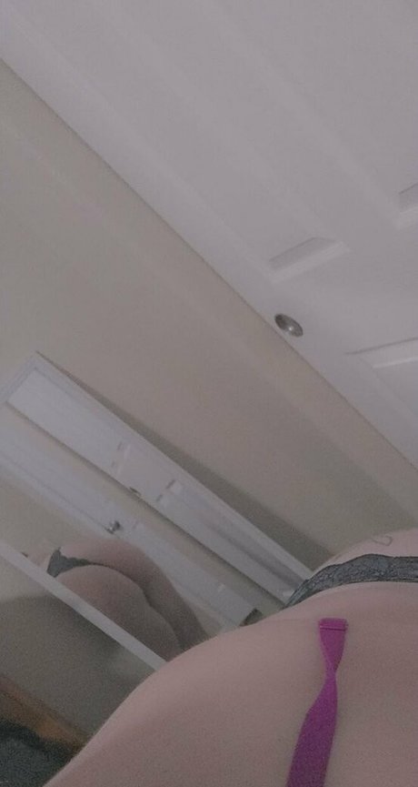 lanicat1 model top photo