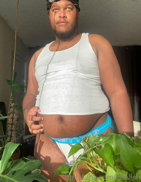 beefish pornstar adult image