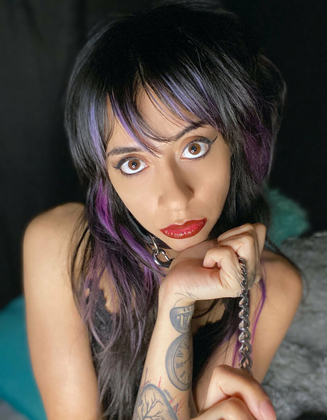 sugarskull bri model top pics