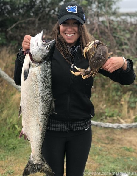 ms adventure model pics