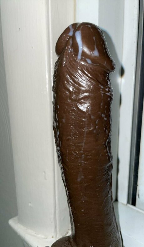 bagladieee beautiful star galleries